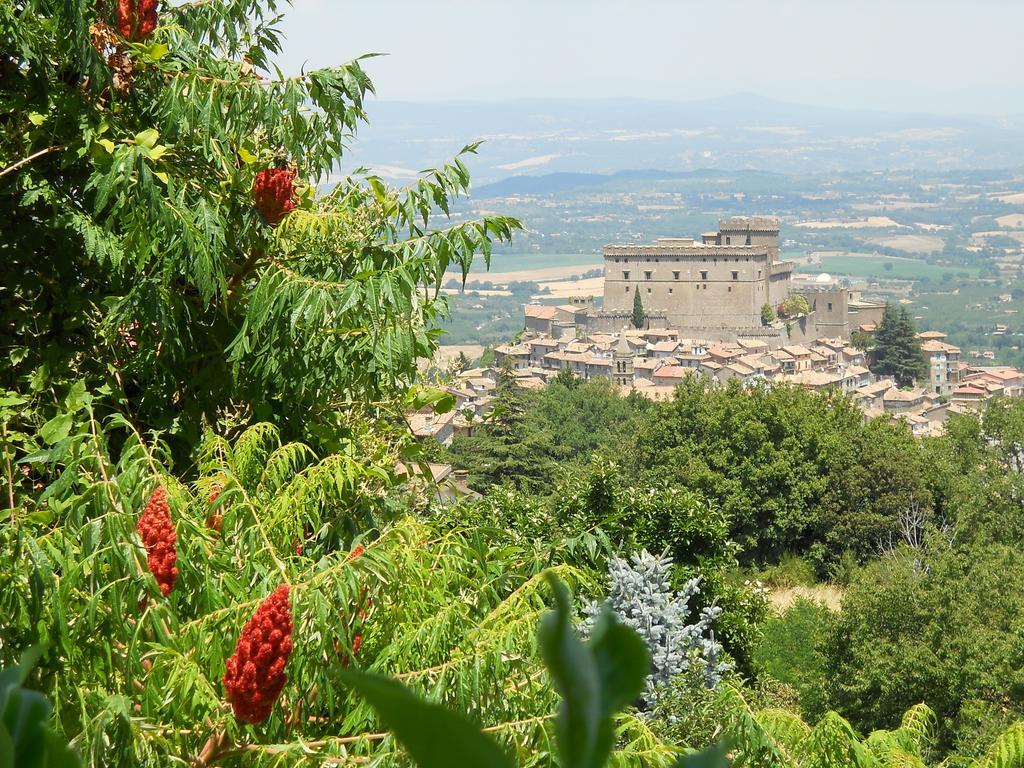 La Bastia Hotel & Resort Soriano nel Cimino Værelse billede